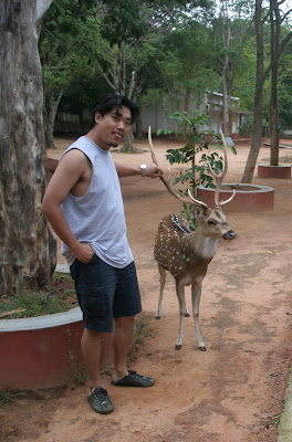 antler!